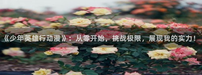 火狼动漫网官网免费入口：《少年英雄行动漫》：从零开始，挑战极限，展现我的实力！
