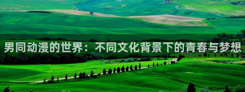 火狼动漫网官网在线观看免费版：男同动漫的世界：不同文化背景下的青春与梦想
